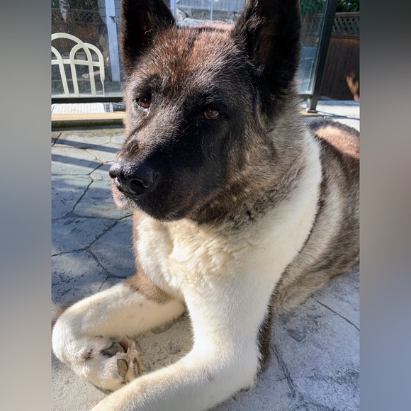 Meet your Posher, Marisa - Picture 11 of 14